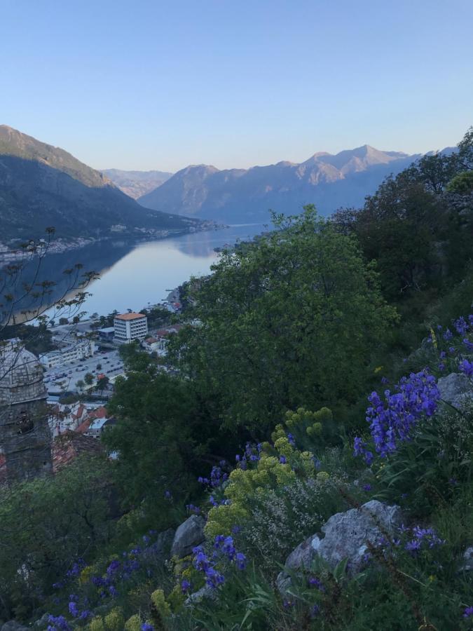 Romantic Rooftop View Hideaway- Old Town Nr 404 Kotor Dış mekan fotoğraf